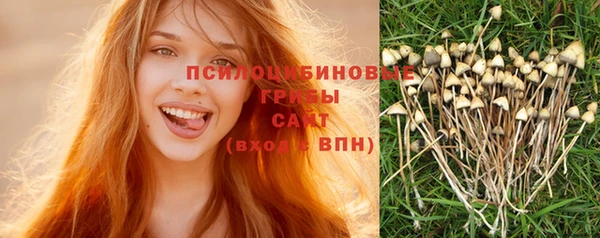 каннабис Алзамай